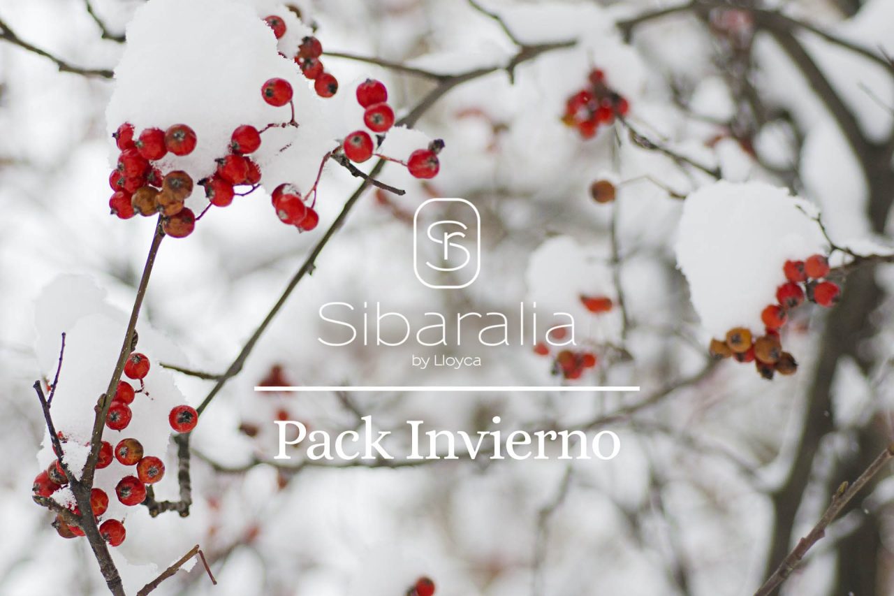 Sibaralia-pack-invierno-2